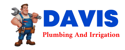 Trusted plumber in BOYCEVILLE